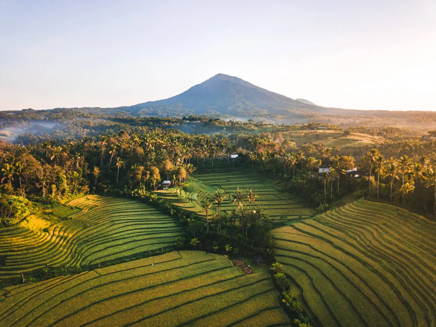Pupuan Rice Terrace and North Bali Tour